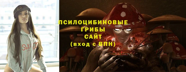эйфоретик Богданович
