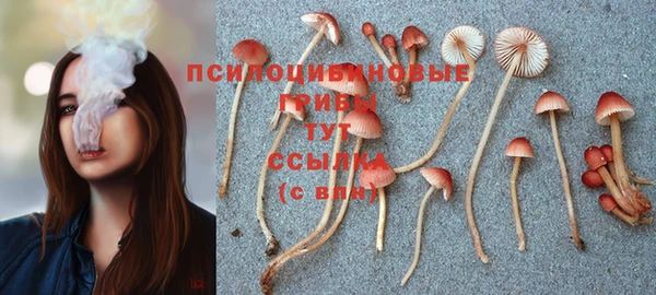 эйфоретик Богданович