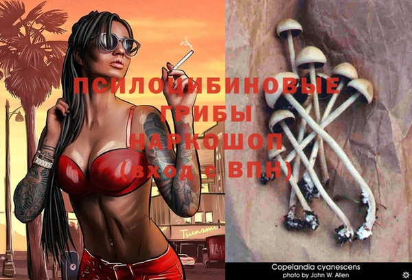 эйфоретик Богданович