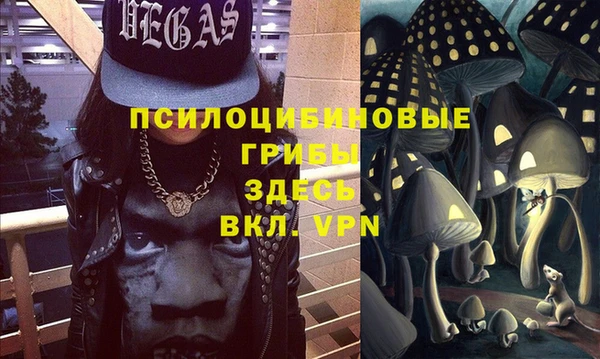 эйфоретик Богданович