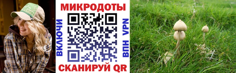 Галлюциногенные грибы Cubensis  Вяземский 